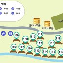남해편백자연휴양림 이미지