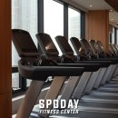 스포데이 이미지