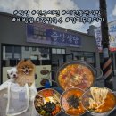 중앙식당 | 하조대 전망대 근처 인구해변 *중앙식당* 솔직 후기 애견동반