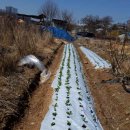 분천농장 이미지