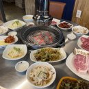 정선바로서비스 이미지