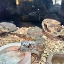 그늘막45 | 포천 아이와 가볼만한 곳! 포프곤충테마파크 방문 후기