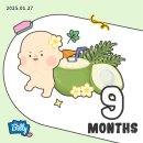 황금세탁 | 임신일기 #10 32주~35주 백일해주사 출산휴가 손수건세탁