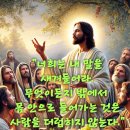 2025-02-12연중 제5주간 수요일＜사람에게서 나오는 것이 사람을 더럽힌다.＞ 이미지