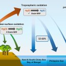태평양참치 이미지