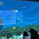 (주)경포아쿠아리움