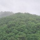 건축사사무소벗 네이버블로그