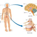 하이밸런스 운동센터 이미지