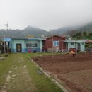 손죽민박 이미지