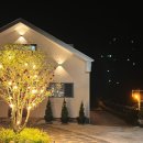 덕스테이 | 깔끔하고 감성있는 강릉 연말 펜션 추천! 신축 독채 덕스테이 내돈내산 방문 후기