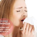 배이비인후과 이미지