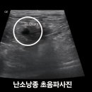 이랑동물병원 이미지