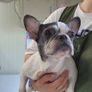 선부광장남로 이미지