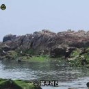 떼뿌루1 이미지