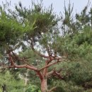 조형마트 이미지