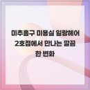 일랑이다 이미지