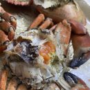 어부농장 이미지