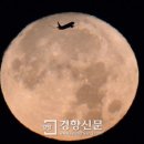 럭키 이미지