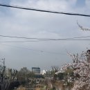 GS25 수원화홍점 네이버블로그