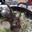 도시애바다 이미지