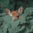 그린나래펜션 이미지