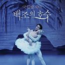Black Swan : 청소년 관람 금지 | 영화 〈블랙 스완, Black Swan〉 (2010)과 차이콥스키의 발레 &lt;백조의 호수, The Swan Lake&gt; Op.20