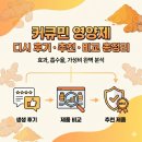 디시80 | 커큐민 디시 후기 정리 영양제 추천 제품 비교까지