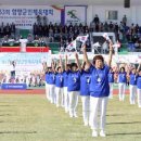 공설운동장(체육경기) 이미지