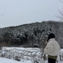 용인 대장금파크 글램핑 카라반 이미지