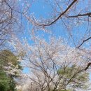 호서대학교 예술관 이미지