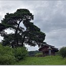 차윤