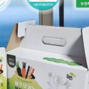 늘:온