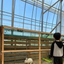 삼오농장 이미지