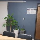 플라즈마 힐링센터 이미지