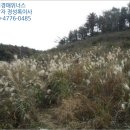 서광주역주유소 이미지
