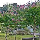 북서울꿈의숲 이미지