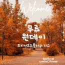 쉼표플라워