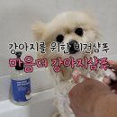 뽀송 이미지