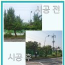 호탄동 화물차고지 앞 | 나무 전지 작업이 필요할 땐 가지치기로 시야 완전 확보!