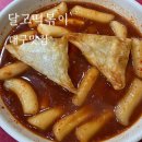 달떡분식 | 대구 3대 떡볶이 : 달고떡볶이 : 달떡 국물 밀떡 만두튀김 분식집