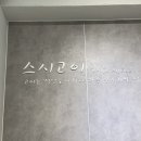 스시고이 이미지