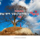 임천 유태사 묘 | 충남 부여 가볼만한곳/성흥산성 가림성 사랑나무 1부【21년11월26일】