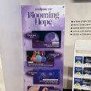 제주특별자치도서귀포시장애인부모회 | 제주 서귀포 야경명소 루나폴 제주도 관광지 가볼만한곳 후기