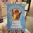 떼구루 - 장흥군 | 부평 떼구루 구슬아이스크림 구워먹는 마시멜로 아이스크림 후기