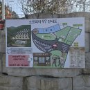 삼육사로 | 동두천 애견카페 소르피아97카페 바베큐장 나들이 후기