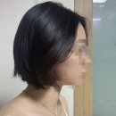 디벨롭 | 동탄 영천동 미용실 헤어디벨롭 다녀온 후기❤️
