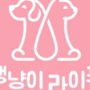 댕냥이라이프 강아지와고양이 애견용품펫마트 이미지