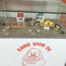 끼룩 스튜디오 | [묵호/강원도/동해] 겨울 묵호 뚜벅이 2박3일 여행 / 묵호 여행 코스, 맛집, 소품샵, 카페 추천&amp;꿀팁