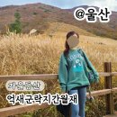 가을 | 억새군락지 울산 간월산 간월재 가을등산 후기