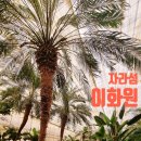축령산 산소길(2구간) | 가평 갈만한 곳 「자라섬 이화원」 주차, 입장료, 볼거리, 눈·비 오는 날 &amp; 방학동안 가기 좋은 실내...